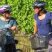 Full-Day Marlborough Wine Region Guided Bike Tour