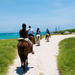 Aruba Horseback Riding and Snorkeling Tour