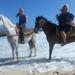 Small-Group Horseback Ride and Island Tour in Aruba