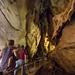 Cutta Cutta Caves Nature Park Guided Tours