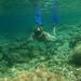 Gili Island Snorkeling Day Trip