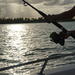 Small-Group Fishing Tour from Punta Cana