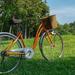 Central Park Bicycle Rental