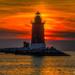 Delaware Bay Discovery Cruise