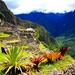10-Day Best of Peru Tour: Machu Picchu, Cusco and Puno