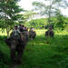 3-Day Chitwan Wildlife Safari Tour from Kathmandu