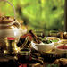 Himalayan Herbs Oil Ayurveda Treatments