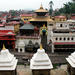 Private Tour of Pashupatinath and Bouddhanath