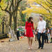 Styled Photoshoot in Central Park