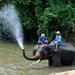 3-Day Lampang Tour with Thai Elephant Conservation Center Homestay Experience