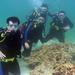 Cham Island Full Day Trip with Scuba Diving