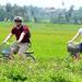 Full-Day Hue Rice Agriculture Experience