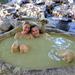 Half-Day Mud Bath at I-Resort in Nha Trang