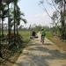 Hoi An Half-Day Bike Tour