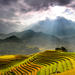 6-Day Tour of Halong Bay and Sapa from Hanoi