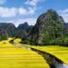 Full day tour to Hoa Lu - Tam Coc in Ninh Binh