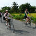 Half -Day Tra Que Herbal Village Tour from Hoi An