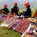 6-Day Northern Vietnam Experience from Hanoi