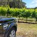 Melbourne Shore Excursion: Small-Group Yarra Valley Wine Tasting Day Trip