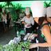 Khmer Cooking Class in Siem Reap