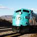 Verde Canyon Railroad Adventure