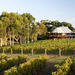 Margaret River and Geographe Bay Region Day Trip from Perth