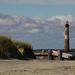  2-Hour Salt Marsh Cruise from Folly Beach