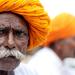 6-Night Private Tour Includes Taj Mahal Jaipur Jodhpur Udaipur and Rajasthan Tour