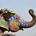 Full-Day Private Guided Tour of Jaipur City