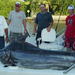 Shared Fishing Trip in Puerto Vallarta or Nuevo Vallarta