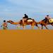 2-Night Jaisalmer Private Tour from Jodhpur including Camel Ride 