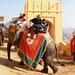 5-Night Private Rajasthan Tour from Delhi Including Jaipur, Jodhpur and Udaipur