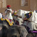 Jaipur Sightseeing Private Day Tour 