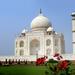 5-Nights Delhi, Jaipur, Ranthambore Tigers and Taj Mahal Private Tour