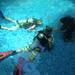 PADI Discover Scuba Diving in Sayulita
