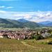 Alsace Villages and Wine Day Trip from Strasbourg