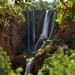 Ouzoud Waterfalls Full-Day Tour from Marrakech