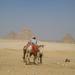 Day-Tour of Cairo Highlights and Giza Pyramids from Cairo