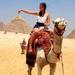 Day Tour to Cairo from Sharm el Sheikh by Flight