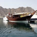 Half-Day Dolphin Cruise from Muscat