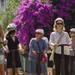 Roman Roads  Segway Tour Rome