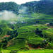 Overnight Tour to Mai Chau and Pu Luong Nature Reserve from Hanoi