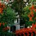 Private Full-Day Hanoi City Tour