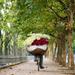 Small-Group Bat Trang Pottery Village Biking Tour from Hanoi