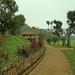 Vietnam Countryside Homestay Experience from Hanoi