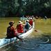 Canoeing Day Trip from Targu Mures