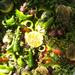 Private Tour: Moroccan Vegetarian Food in Marrakech