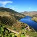 Private Tour: Douro Valley Wine Experience from Porto