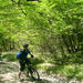 Private Cycling Tour in Rkoni from Tbilisi