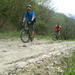 Private Cycling Tour in Tbilisi National Park from Tbilisi